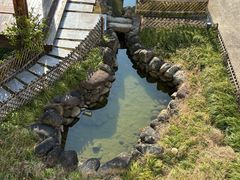 -会稽山峡洞漂流-上青古道