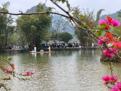 -靖西鹅泉风景区