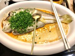 清蒸鲈鱼-彩虹之约•淮扬家宴(亚运村店)