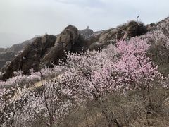 -北京凤凰岭