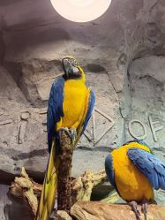 -Zoolung Zoolung动物主题公园(海信广场店)