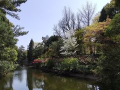 -叶家花园