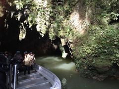 -怀托摩萤火虫洞