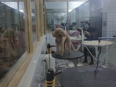 -可蒙动物医院·猫科·骨科中心(首义路店)