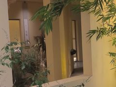-中海环宇荟