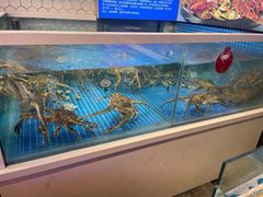 -日进一片海.生腌海鲜火锅.宵夜烧烤(三里屯总店)