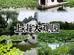 -西安市长乐公园