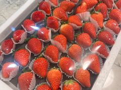 -78线水果批发市场精品厅五号