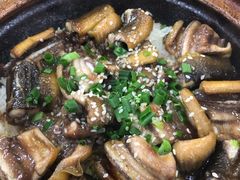 -红星光发煲仔饭(大石街店)
