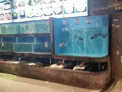 -怀德酒楼·粤菜·海鲜·茶点(宝安国际机场店)