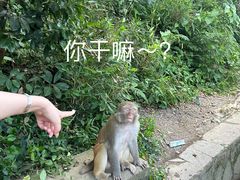 -黔灵山公园