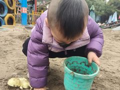 -南湖梦幻岛