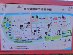 -高东镇樱花园