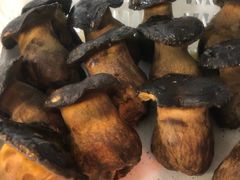 -菌之家·专业纯野生菌火锅·特色炒菌