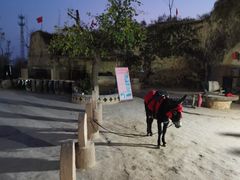 -延安杨家岭革命旧址