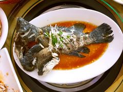 -海岛渔村大酒店(云霄路店)