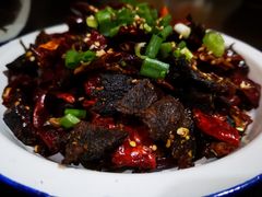 -四小区火锅·巷子里的重庆火锅(花照壁店)