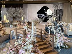 -DC大蔡婚礼策划(李公堤店)