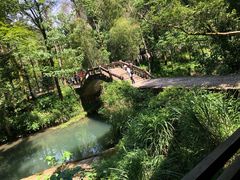 -楠溪江石桅岩