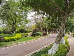 -五缘湾湿地公园