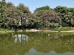 景点-黄埔荔枝公园