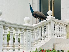 -西昌邛海宾馆