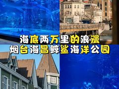 -烟台海昌鲸鲨海洋公园