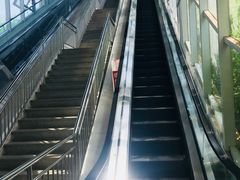 -天津金海湖