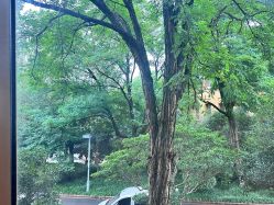 -雅馨国际月子中心