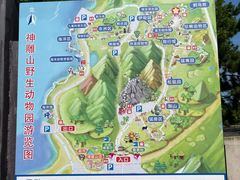 -西霞口神雕山野生动物世界