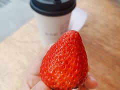 -去茶山(新光里店)