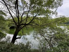 -广州莲花山旅游区
