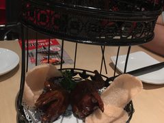 招牌脆皮乳鸽子-避风塘(宝山万达店)