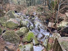 -藏龙百瀑风景区