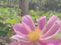 -仁和公园(顺义区)