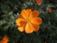 -桤木河湿地公园