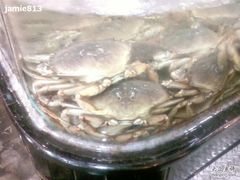 SP_A0021-渔民新村(番禺总店)