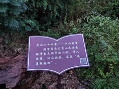 -上海市保健医疗中心