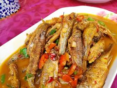 瑶河小鱼-瑶河山里菜