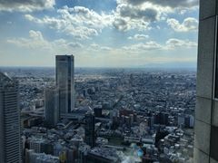 -东京都厅舍