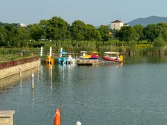-西京湾花海