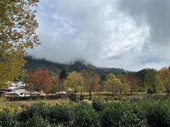 -塔川景区