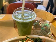 -油梨树AVOCADO TREE(望京店)
