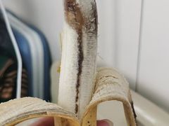 -乐乐鲜果水果超市(河北店)