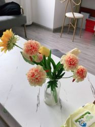 -凡碧诗毛孔收细