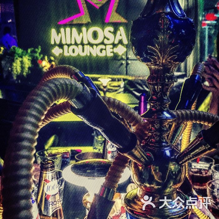 太原mimosa酒吧图片