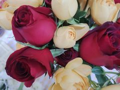 -海底捞火锅(万科广场店)