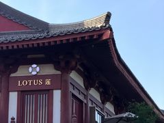 -莲西餐(曲江店)