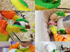 -怪兽屋·羊驼·猫咖·狗咖(俊华广场店)