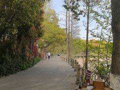 -天目湖山水园